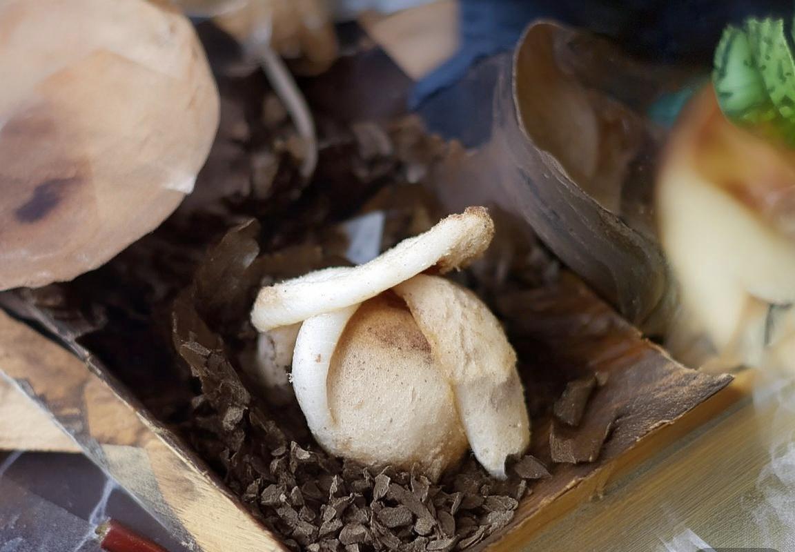 富恩拉夫VS穆尔天主：足球战术对决与智慧博弈(图3)