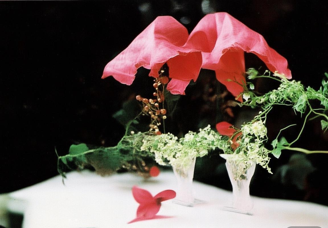 阿根廷与委内瑞拉足球对决：文化交融与激情瞬间解析(图2)