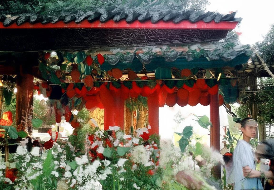 古比斯与塞那乔其：古埃及文明的巅峰对决与交融